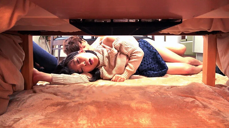 HEZ-491 コタツの中でこっそり悪戯 義母に中出し近親〇姦!不倫美熟女の股間にズボッ! 8時間32名11