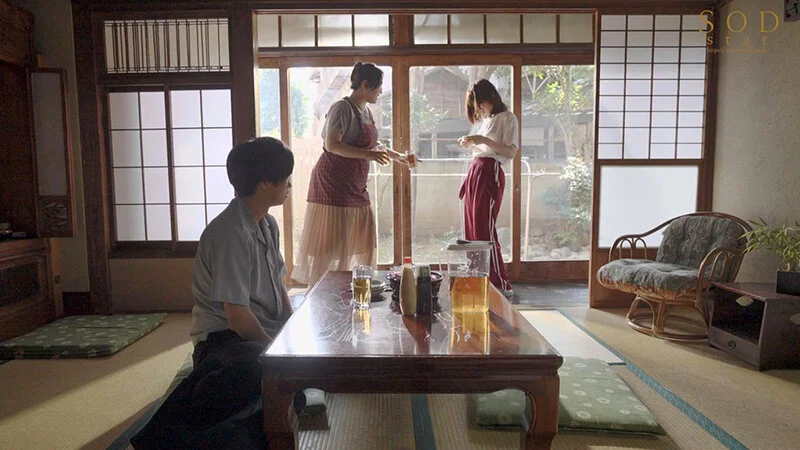 STARS-771 数年ぶりに帰省すると、アラサーの姉は未だに自称家事手伝い(ニート)の喪女だった。 隠れ巨乳の姉(26) 天宮花南5